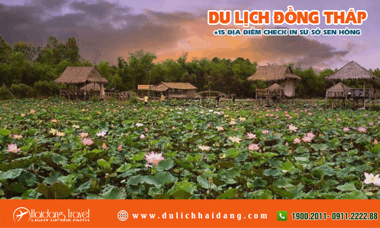 Tour du lịch Đồng Tháp