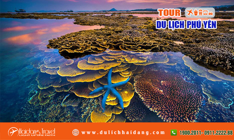 Tour du lịch Phú Yên