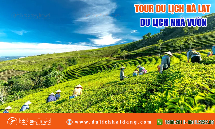 Tour du lịch nhà vườn Đà Lạt