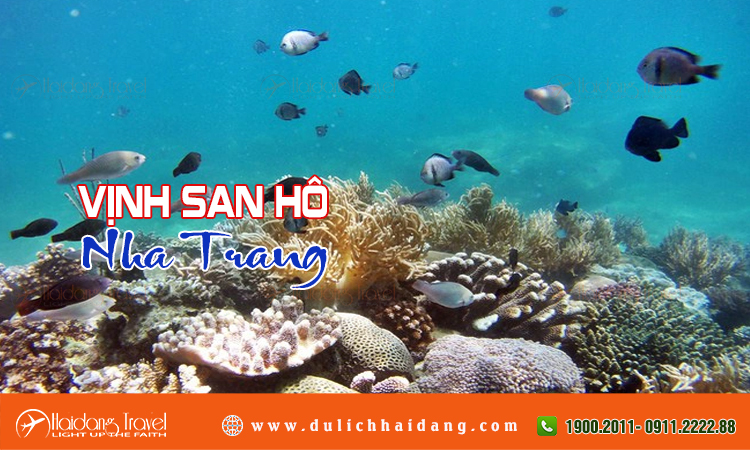 Vịnh san hô Nha Trang