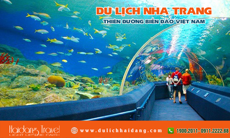 Tour du lịch Nha Trang