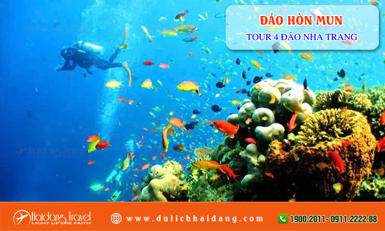 Tour 4 đảo Nha Trang 