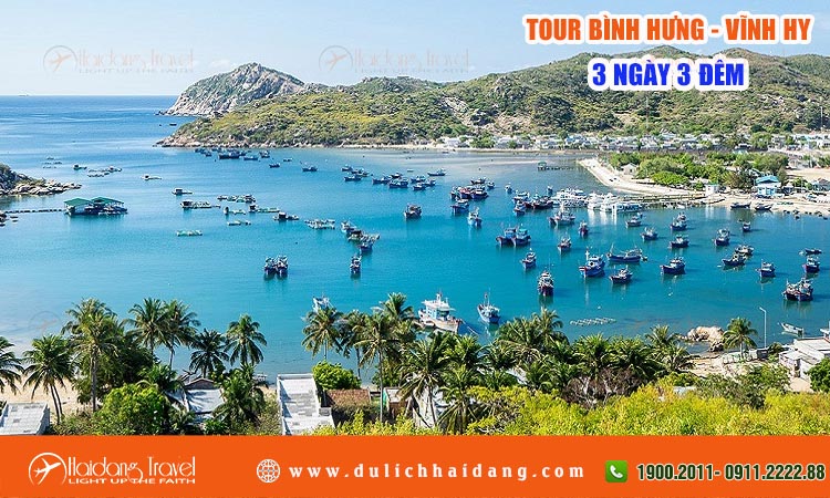 Tour Bình Hưng - Vĩnh Hy 3 ngày 3 đêm