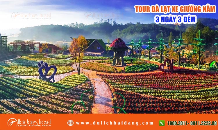 Tour Đà Lạt 3 Ngày 3 Đêm Bằng Xe Giường Nằm