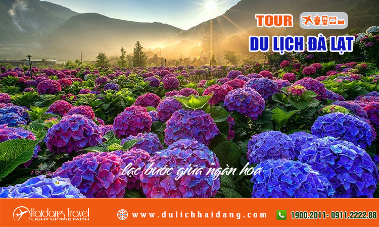 Tour du lịch Đà Lạt