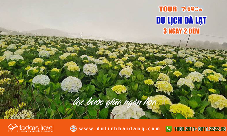 Tour đà lạt 3 ngày 2 đêm