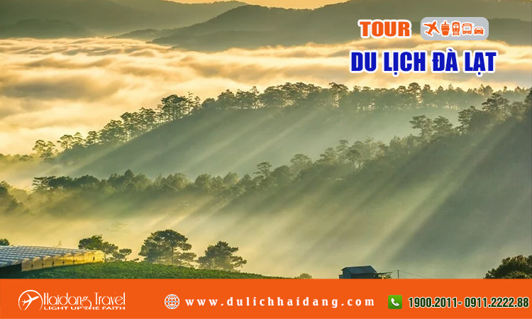 Tour du lịch Đà Lạt