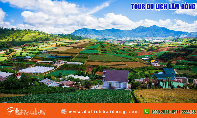 Tour du lịch Lâm Đồng