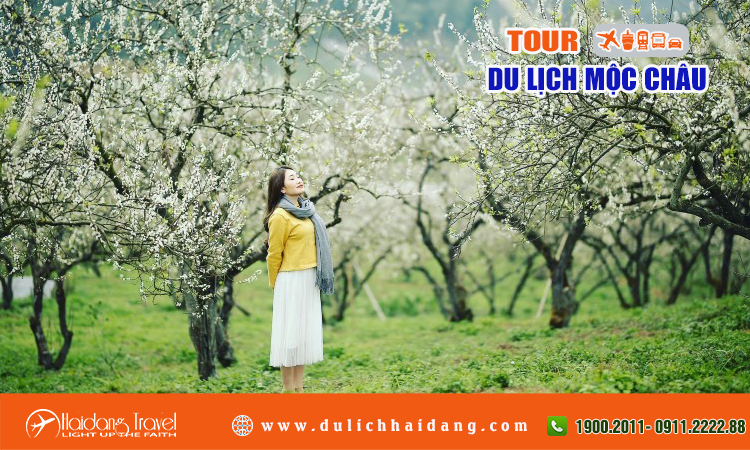 Tour du lịch Mộc Châu