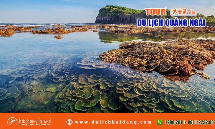 Tour du lịch Quảng Ngãi