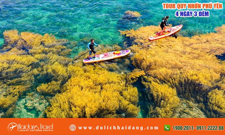 Tour du lịch Quy Nhơn Phú Yên 4 ngày 3 đêm