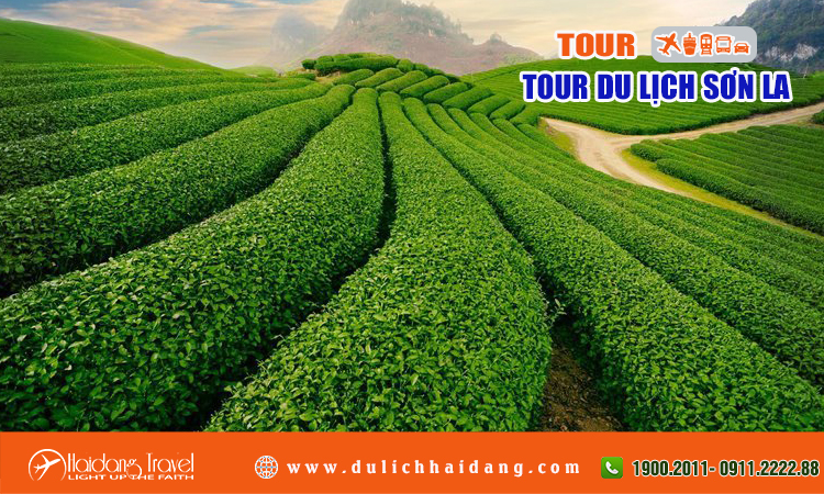 Tour du lịch Sơn La