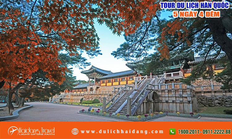 Tour Du Lịch Hàn Quốc 5 ngày 4 đêm