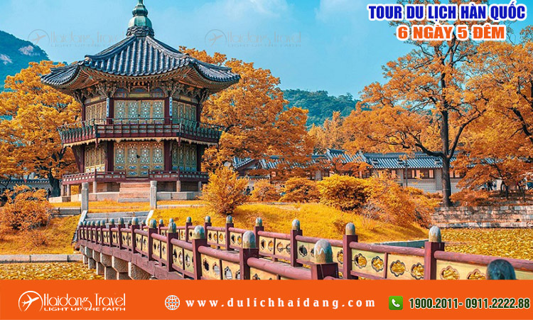 Tour Hàn Quốc Busan - Seoul 6 ngày 5 đêm