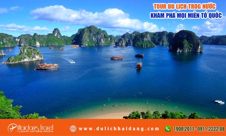 Tour trong nước