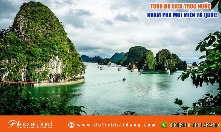 Tour trong nước